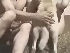 Awesome bestiality porn clip features widen eagle doxy hammered by her big slutty dog